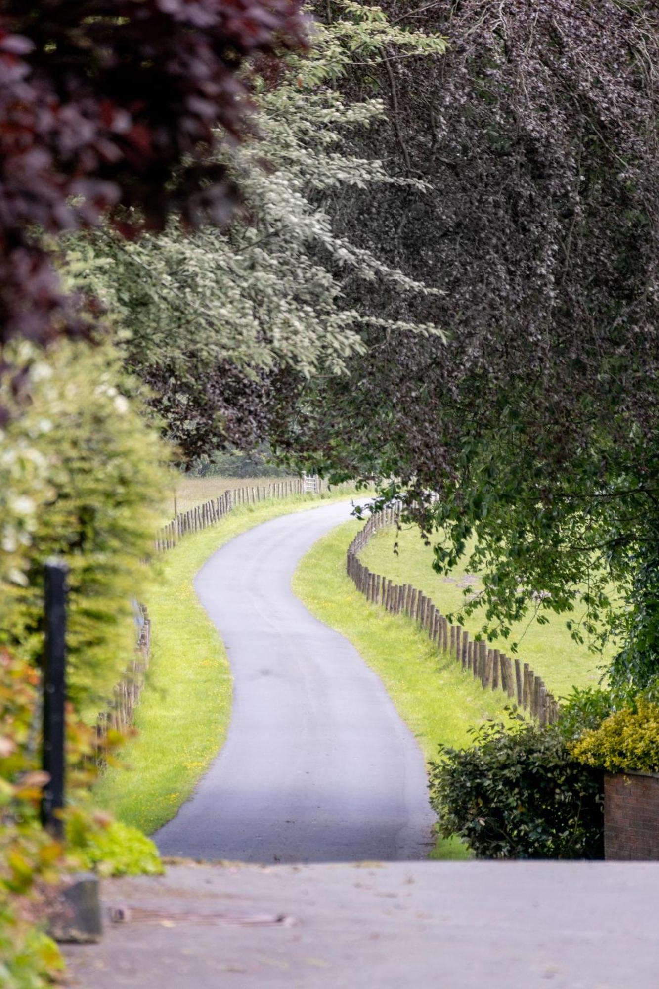 The Falcondale At Lampeter Luaran gambar
