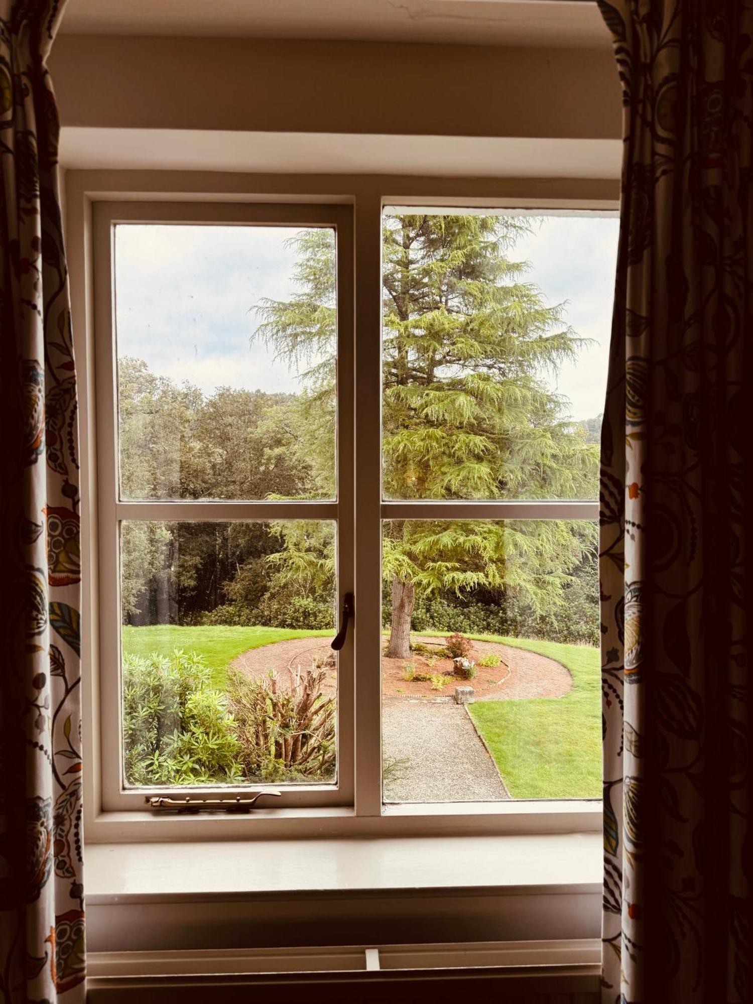 The Falcondale At Lampeter Bilik gambar